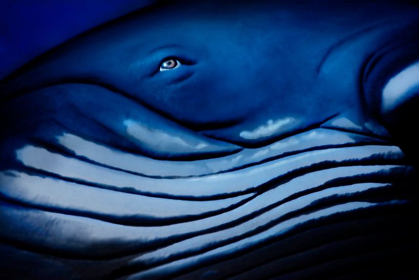 Blauer Ozeanriese par Joachim G. Pinkawa