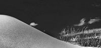 Dune at the Kattegat