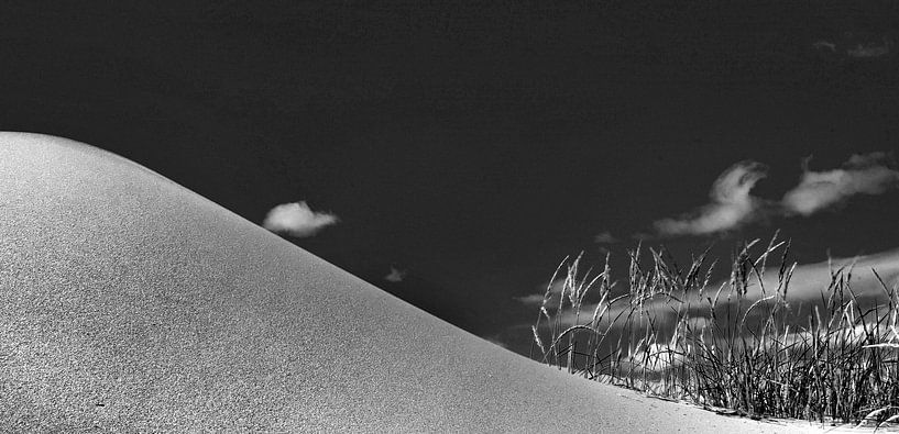 Dune at the Kattegat by Rolf Raderschatt