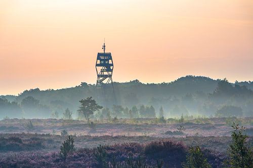 Tour d'incendie de la Lande Kalmthout par une matinée ensoleillée