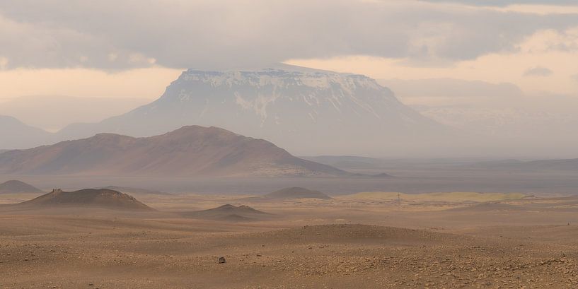Subtle shades of beige by Theo Quintelier