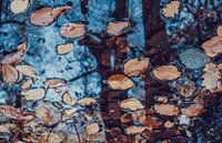 Herfst
