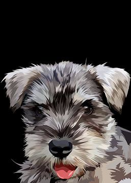 Schnauzer dog vector by IHSANUDDIN .