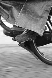 Solex by Bertrik Hakvoort