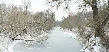 Winterlandschap in het Rotehornpark in Maagdenburg