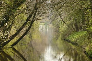 Landschap, lente van Paul van Gaalen, natuurfotograaf