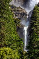 Lower Yellowstone Falls