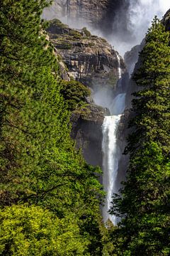 Lower Yellowstone Falls van Thomas Klinder