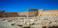 Palmyra  van René Holtslag thumbnail