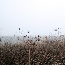 winter landscape in the mist by Karin vanBijlevelt