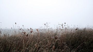 winters landschap in de mist van Karin vanBijlevelt