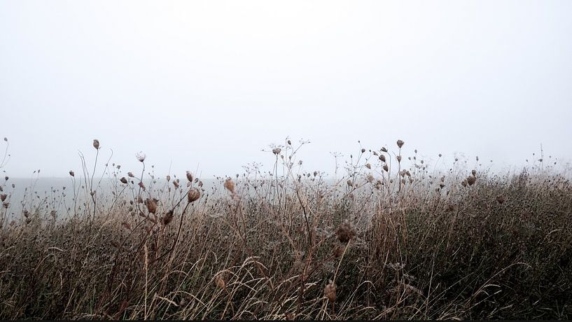 winters landschap in de mist van Karin van Bylevelt