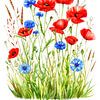 Entre les coquelicots rouges, les bleuets et les tiges (1 de 3) sur AidasignArt