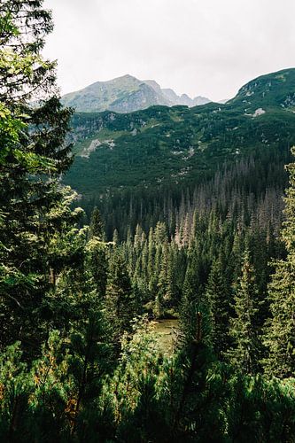 Tatra mountains Slovakia III