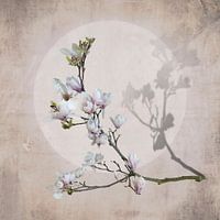 Magnolia with Moon. Pink.
