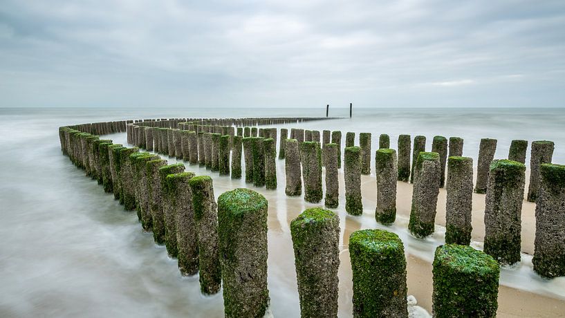 Paysage marin hypnotique par Philippe Velghe