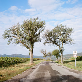 Windhof - alter Grenzübergang nach Wissembourg