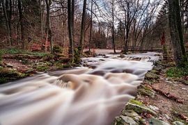 Mountain river Hoëgne in the Ardennes by Rob Boon