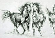 Paarden in galop op de steppe. van Ineke de Rijk thumbnail