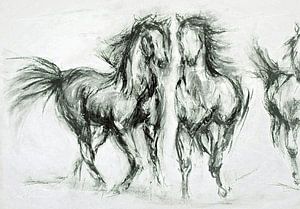 Chevaux galopant dans la steppe.
