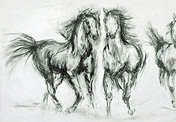 Paarden in galop op de steppe. van Ineke de Rijk