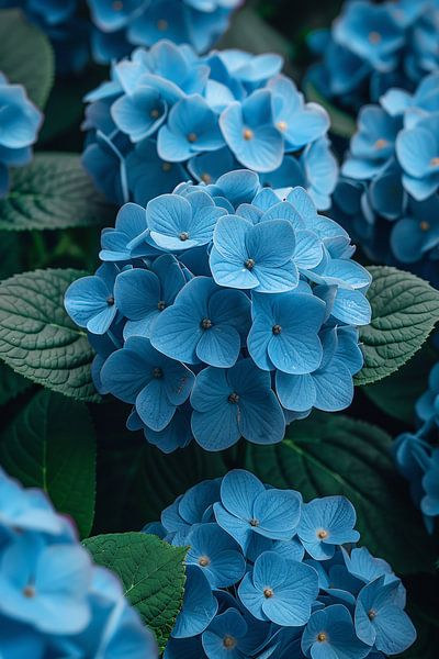 Blaue Blumen im Garten von Art & Soul Creations