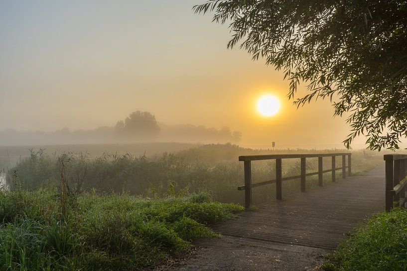 The Bridge van Alex Maas