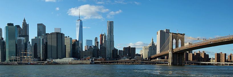 Brooklyn Bridge & Manhattan van Borg Enders
