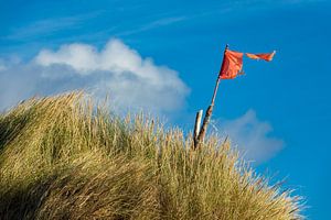Landschaft mit Dünen auf der Insel Amrum
