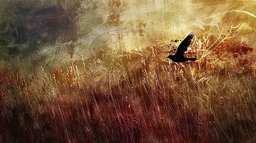 Vliegende vogel boven een zonnig veld van Frank Heinz
