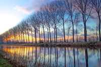 Damse Vaart