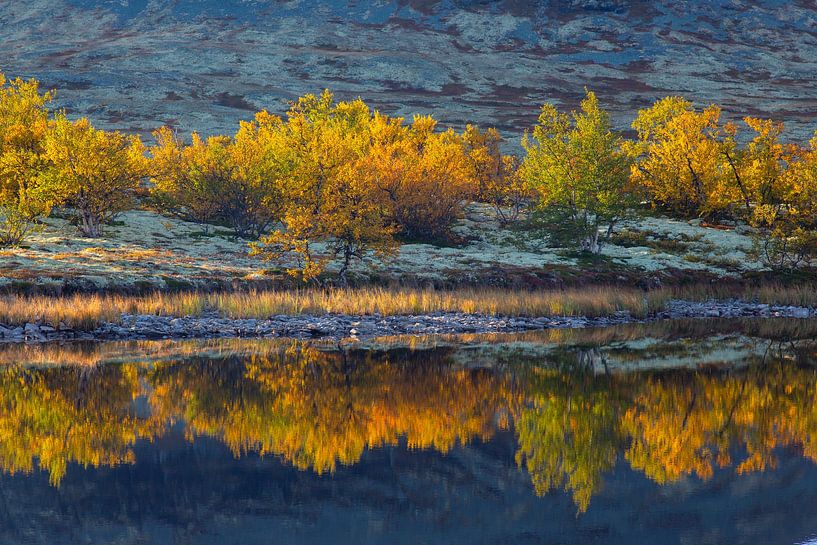 Doralen autumn by Sven-Erik Arndt