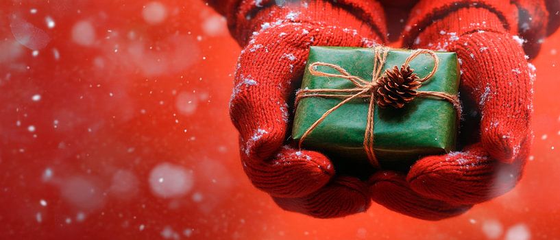Christmas gift by Poster Art Shop