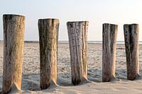 A day at the beach ..
