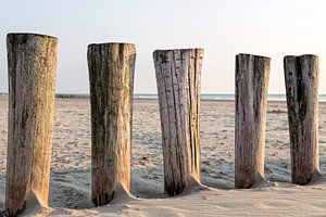 Ein Tag am Strand .. von Miranda van Hulst