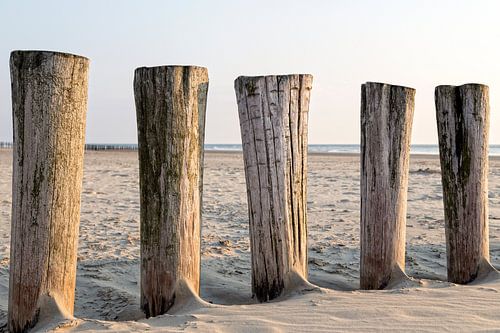 Een dag op het strand..