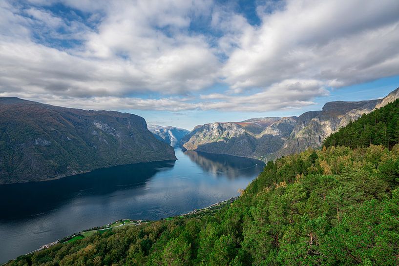 Aurland fjord op een zonnige dag van Mickéle Godderis