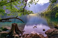 Obersee van Anand Rambaran thumbnail