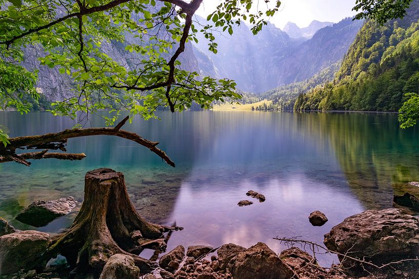Obersee van Anand Rambaran