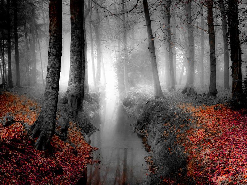 Das alte Kriegsrecht bei Millingen von Willem Jongkind