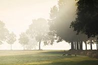Hollands landschap met mist by Teuni's Dreams of Reality thumbnail