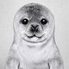 Baby Seal - Black & White by Gal Design
