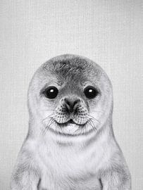 Baby Seal - Black & White