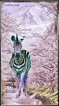 colour splash Zebra en Chine sur Leeloo_mp