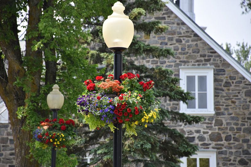 The village's street lights in summer by Claude Laprise