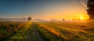 Un dimanche matin à Norg