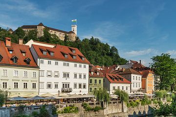 Ljubljana, Slovenië van Gunter Kirsch