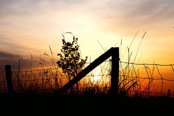 ondergaande zon van Lizette de Jonge