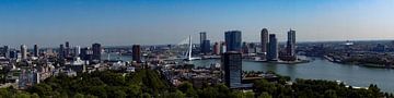 skyline Rotterdam van ticus media