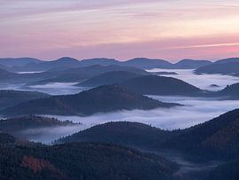 Sunrise in the Palatinate Forest by Anselm Ziegler Photography